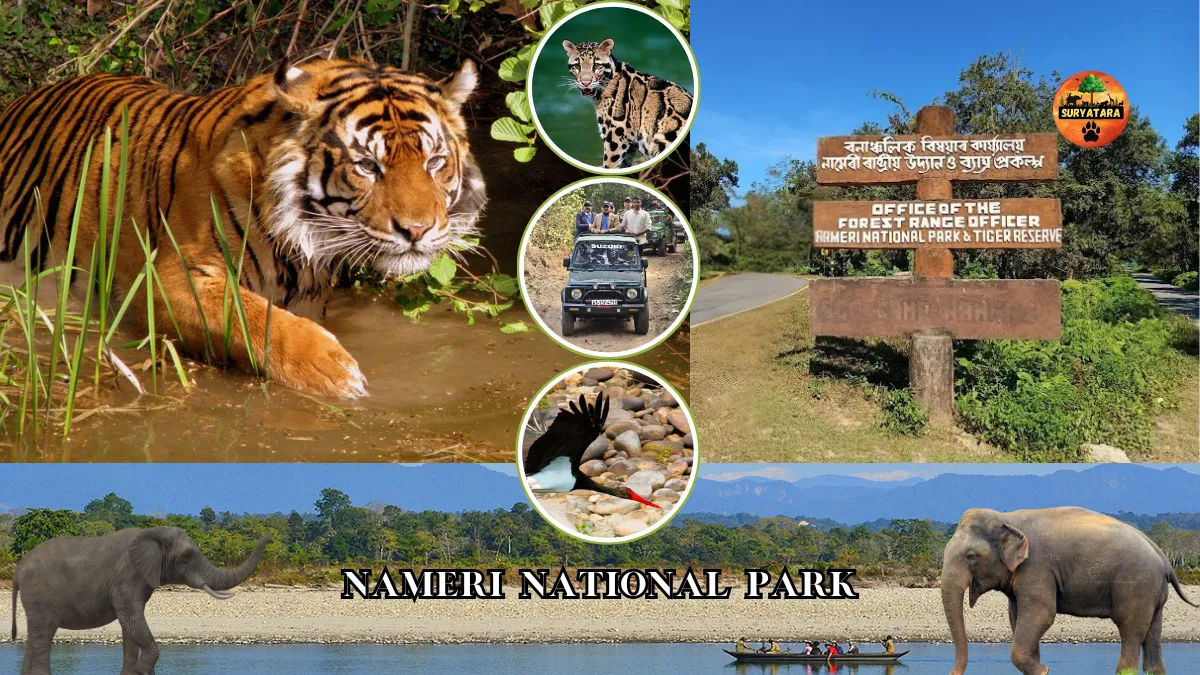 Nameri National Park